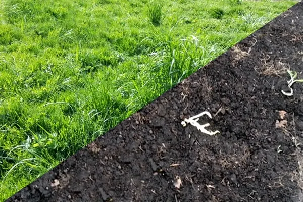 Artificial Turf Removal and Disposal in Deer Park, TX