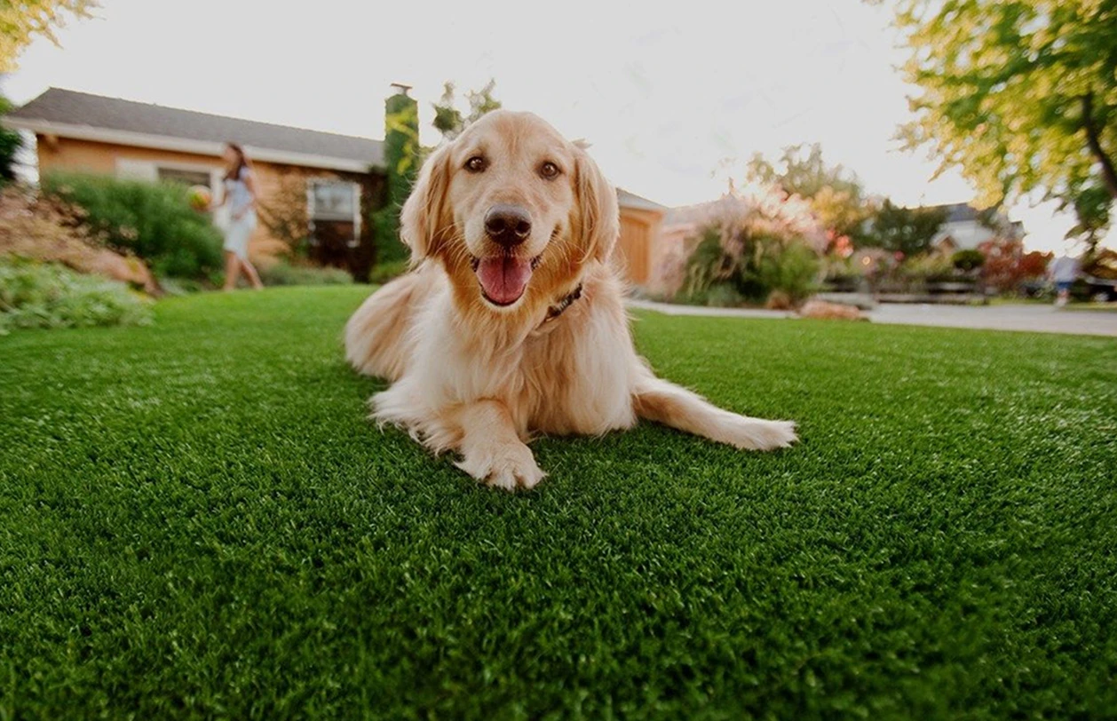 Pet Friendly Artificial Turf Installation in Deer Park, TX